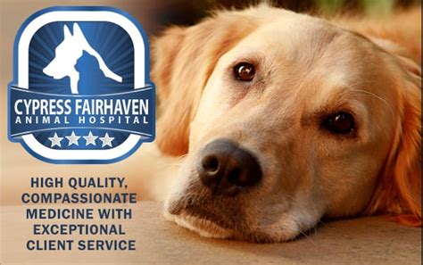 Specialties UrgentVet was founded to fill the gap between your regular vet and the vet ER. . Cypress fairhaven animal hospital reviews